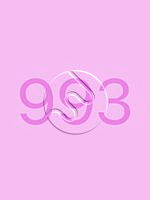 993.bmp