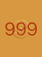 999.bmp
