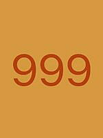 999.bmp