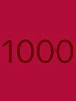 1000.bmp