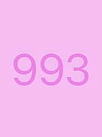 993.bmp